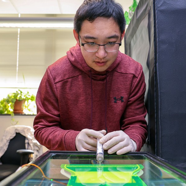 Yicong Fu, mechanical engineering doctoral student, injects dye into his custom-built, bio-inspired thermal dispenser to observe how particles disperse.