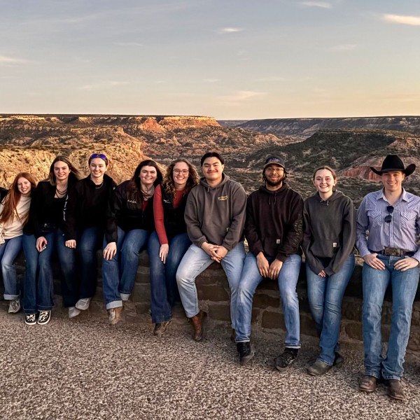 a group of people stand infront of a canyon landscape