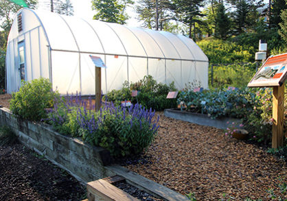 high tunnel greenhouse in garden
