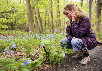 Woman looking at plants in woodland setting