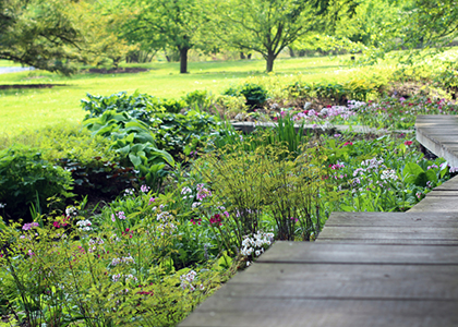 Enjoy Cornell Botanic Gardens During National Public Gardens Week