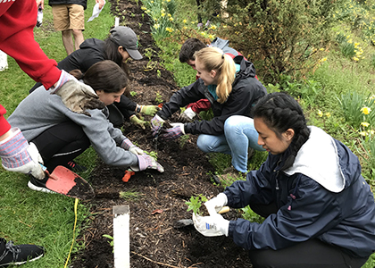 Students planting a garden