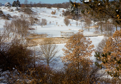 The pergola at Houston Pond at F.R. Newman Arboretum in winter.