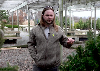 Link to video on Christmas Tree selection by Daniel Weitoish