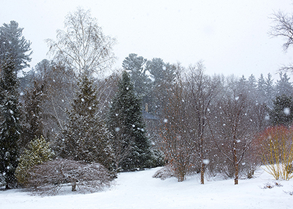 Mullestein Winter Garden in winter