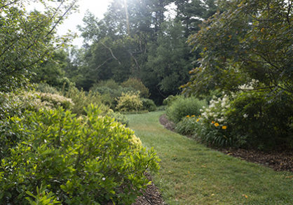entrance to the shrub garden