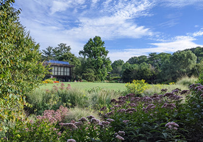 a view of a garden