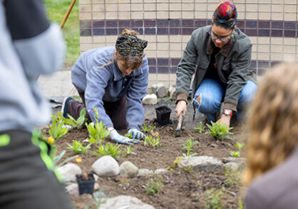 College student planting a healing garden