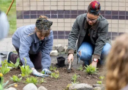 Two people planting a garden