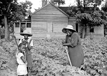 black and white image of people working in a garden