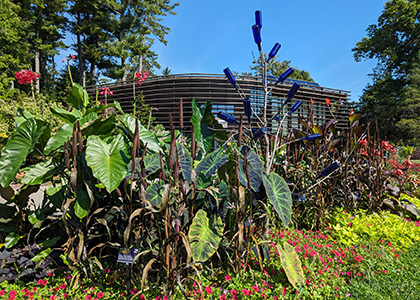 plants in front of the Nevin Welcome Center