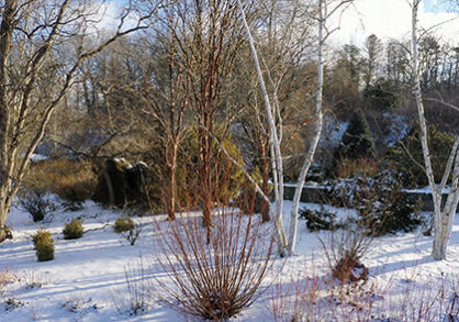 Winter Garden landscape in winter