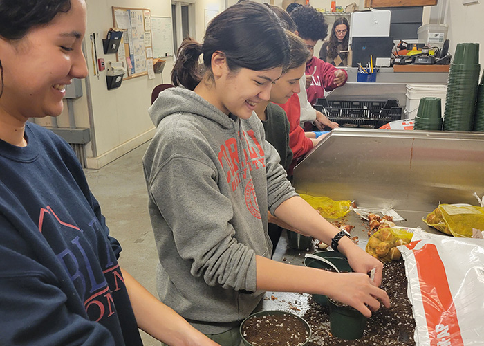 two female students potting bulbs